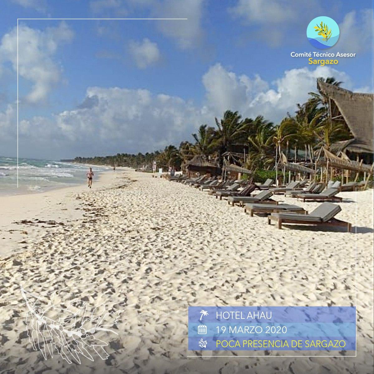 CTASargazo's tweet photo. #ReportePlayas 
Te compartimos el reporte del día, aquí algunas sugerencias de playas. #PlayasLimpias 🏝📷 19/marzo/2020 https://t.co/pxh4GeTSPq