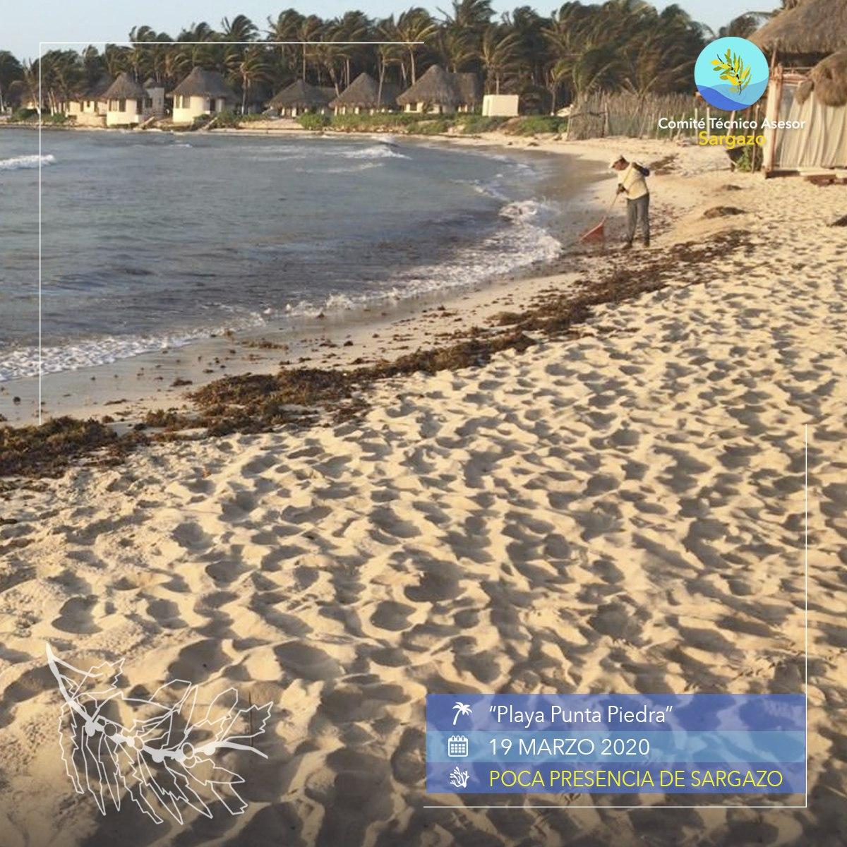 CTASargazo's tweet photo. #ReportePlayas 
Te compartimos el reporte del día, aquí algunas sugerencias de playas. #PlayasLimpias 🏝📷 19/marzo/2020 https://t.co/pxh4GeTSPq
