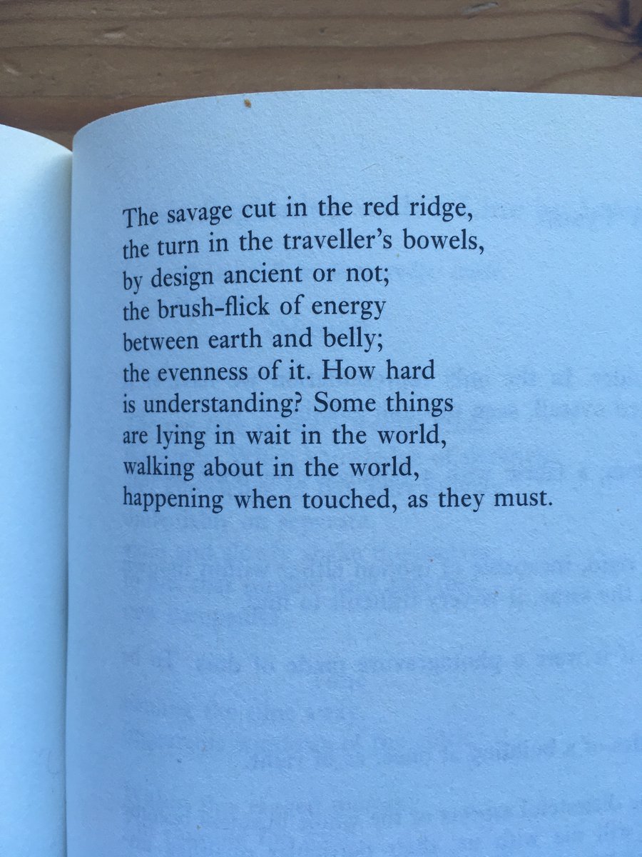 Seeing Deep Time: Roy Fisher’s poem, ‘Staffordshire Red,’ about driving through a rock cleft in the English midlands, gives us a glimpse of how, in the midst of the everyday, we also inhabit the flow of deep time.  #footprints