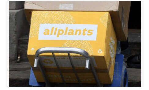 JPetrides_'s tweet photo. Newsflash ⚡️ Downing Street are stockpiling with style! @allplants to the rescue for Carrie and Boris @No10 eating plants 🌱✌🏼 https://t.co/v2nJhZciI1