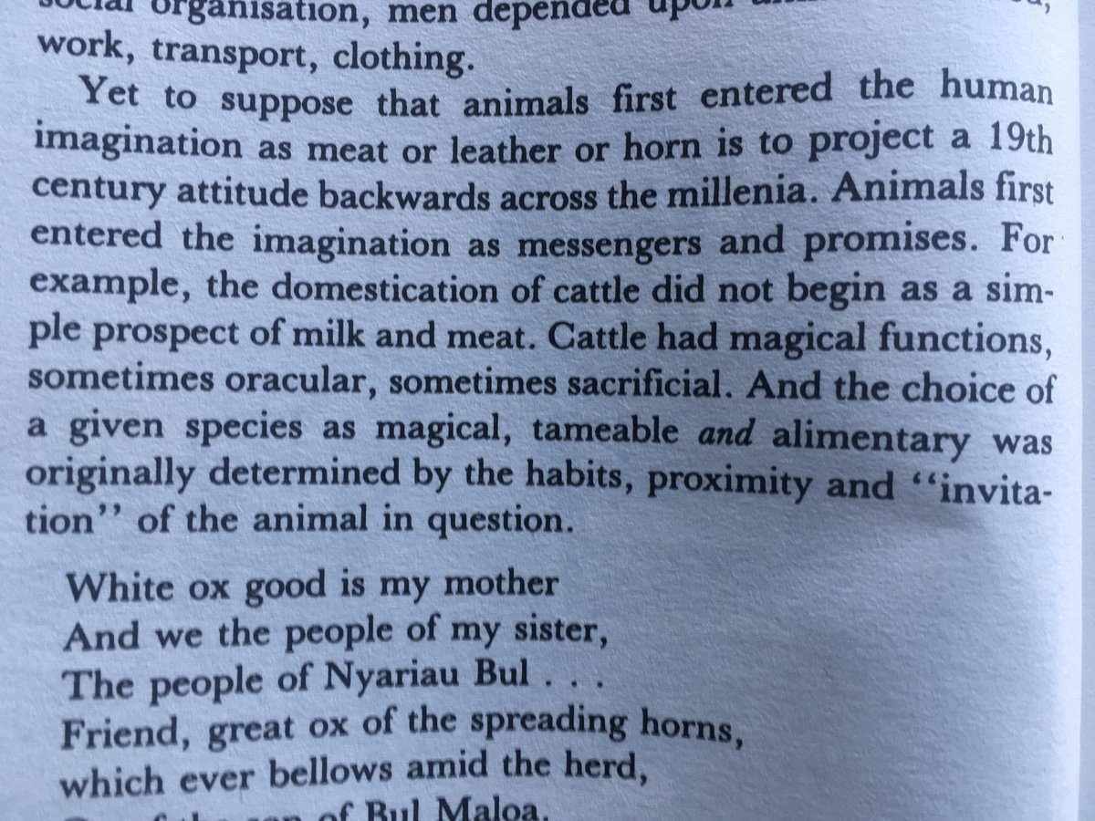 Thinking Extinction: We are on the brink of a catastrophic extinction. Biodiversity could take millions of years to recover. John Berger’s penetrating essay ‘Why Look at Animals?’ reflects on how our becoming human has been bound up with other creatures.  #footprints