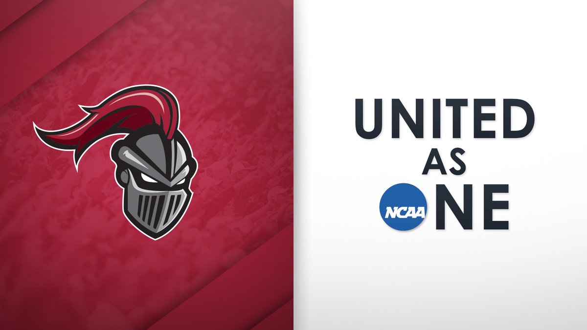 Arcadia Knights tweet media