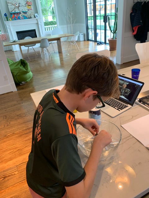 awtyintlschool's tweet photo. Our students have proven they are the cream of the crop! From getting their books from campus to joining their classes online, they've quickly adapted to distance learning this week &amp; are proving Awty students are adaptable 21st century learners! #cantstop #wontstop #AwtyLearning https://t.co/K28i8DZlQh