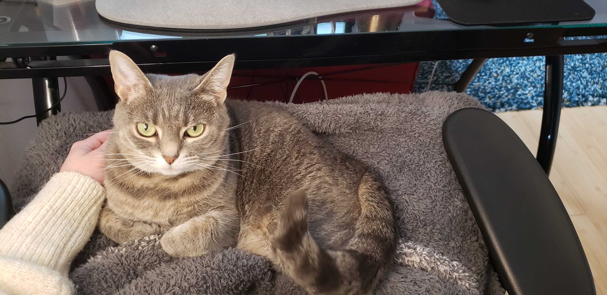 Union Square Media tweet media