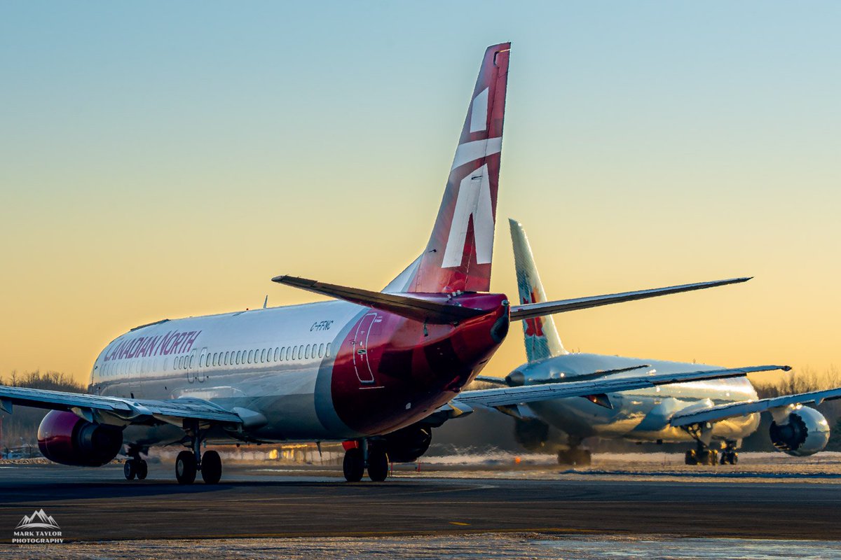 Mark Taylor tweet media