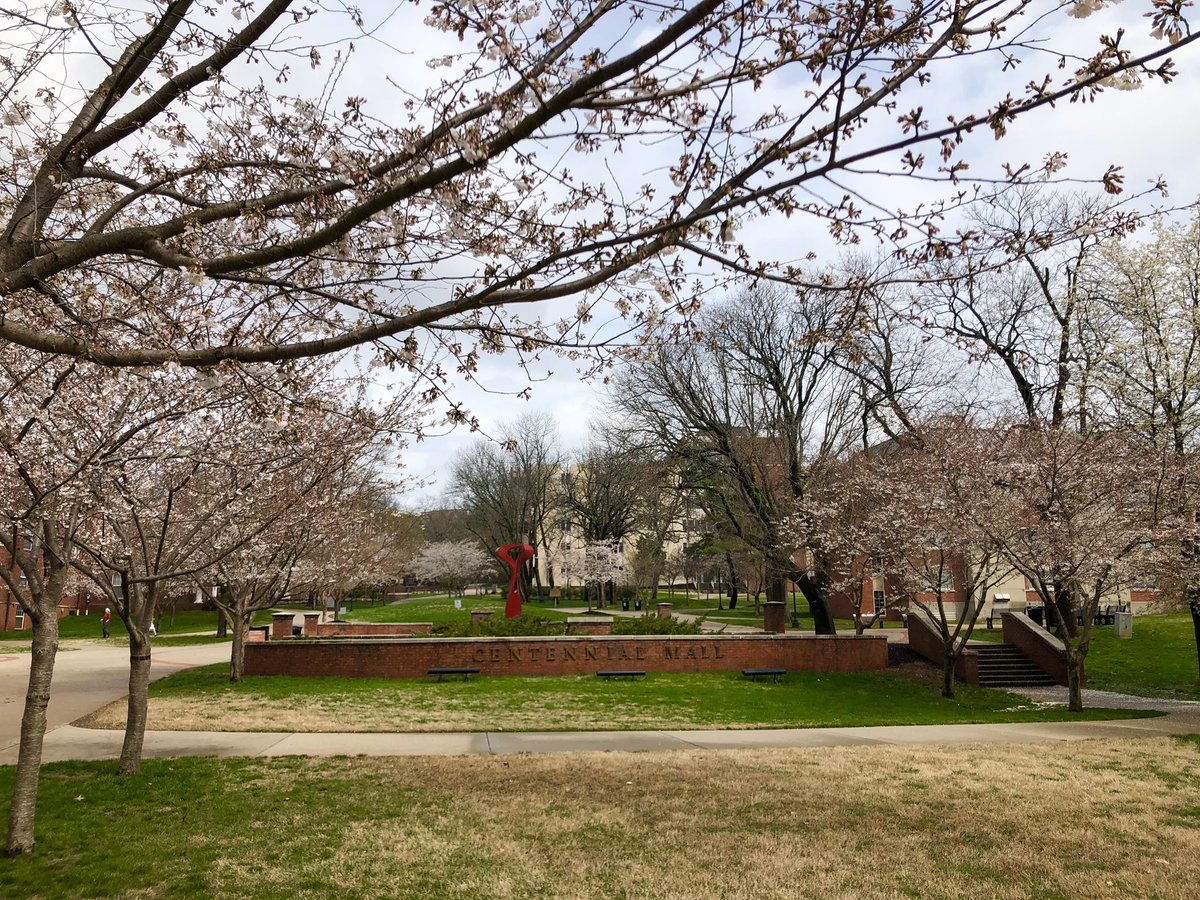 yourDSU's tweet photo. Happy first day of spring, Hilltoppers! It finally stopped raining! We know this semester has taken an unexpected turn, but hopefully the gorgeous cherry blossoms in Centennial Mall can bring you a bit of joy! 🌸☀️ https://t.co/8XOQvxdAf9