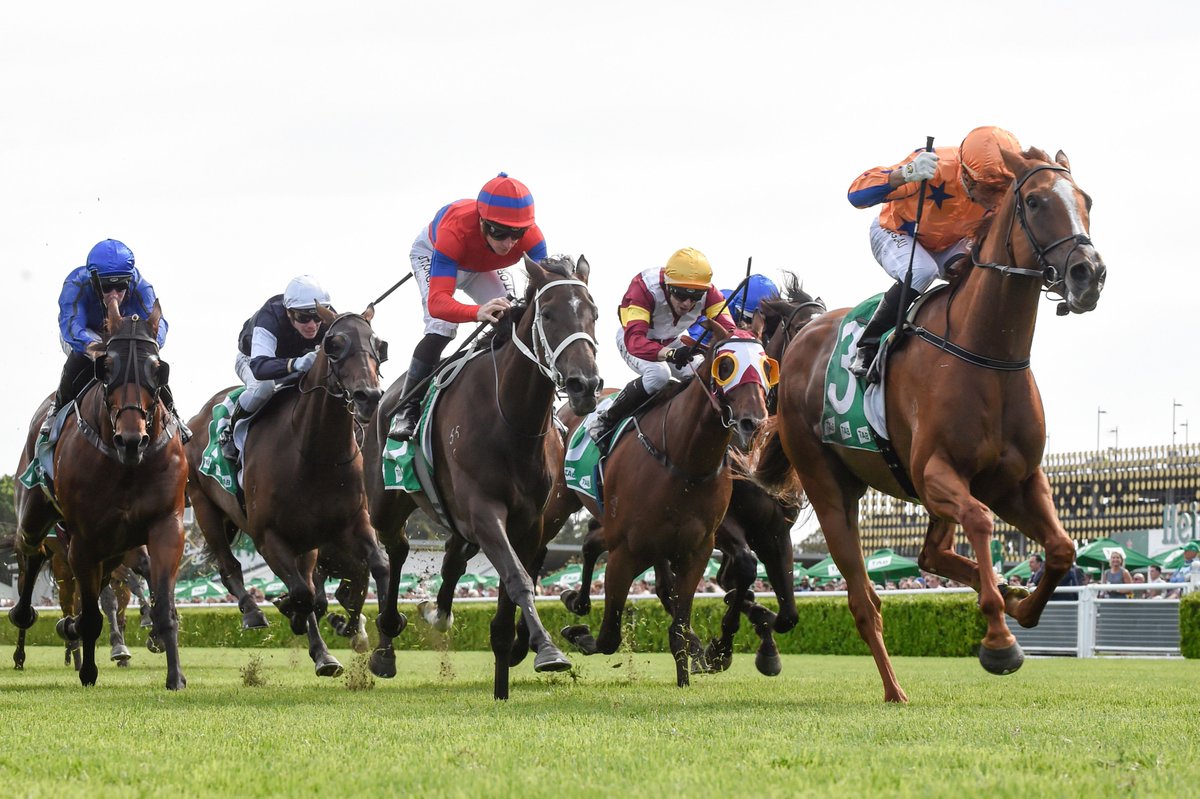 NZRACEFORM's tweet photo. New Zealand stars lock horns at Rosehill

After each scoring impressive Group One victories in Sydney over the last three weeks, Te Akau Shark and Bostonian are on a Rosehill collision course. https://t.co/P5dlA0TyJU