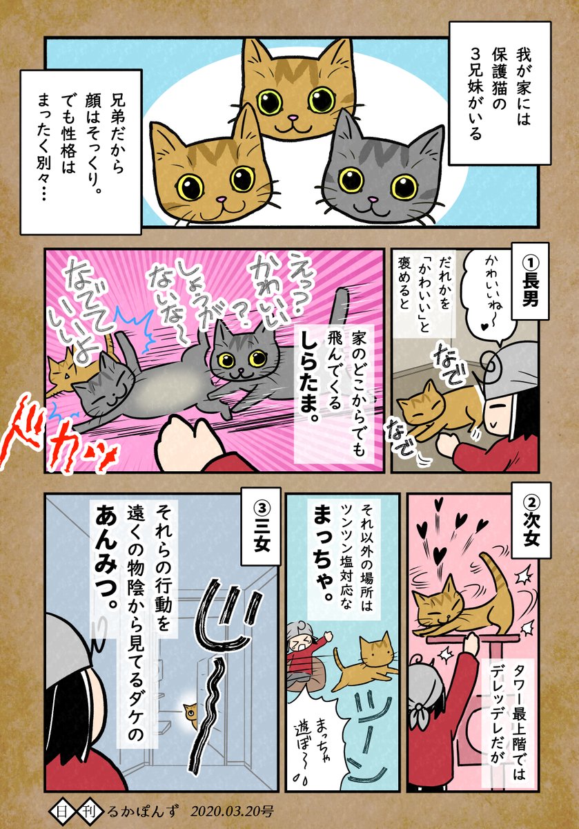 数年前に保護した兄妹猫3匹の性格があまりに違う話。

#保護猫3兄妹 #猫 #猫漫画 #コミックエッセイ 