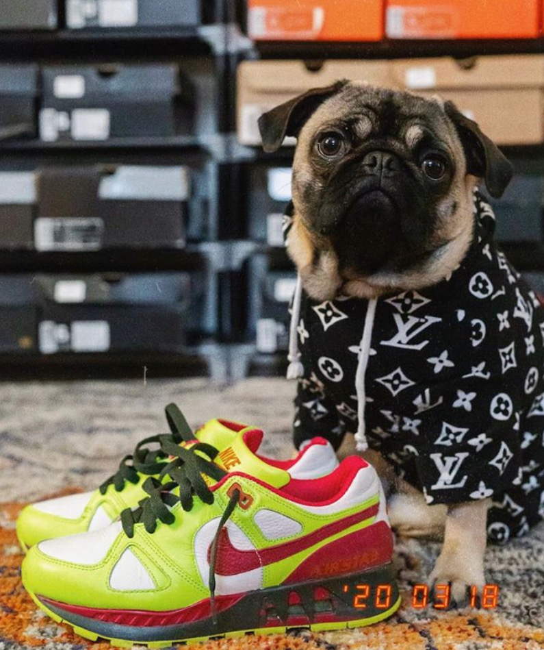 stockx's tweet image. This is the content we're here for 🐶

Show us how your pups #FlexFromHome 💪

Tag us to donate 10 meals to @FeedingAmerica!