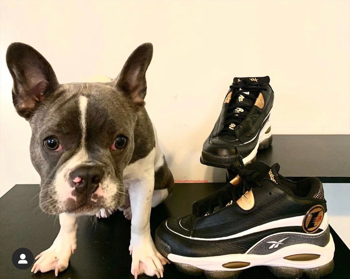 stockx's tweet image. This is the content we're here for 🐶

Show us how your pups #FlexFromHome 💪

Tag us to donate 10 meals to @FeedingAmerica!