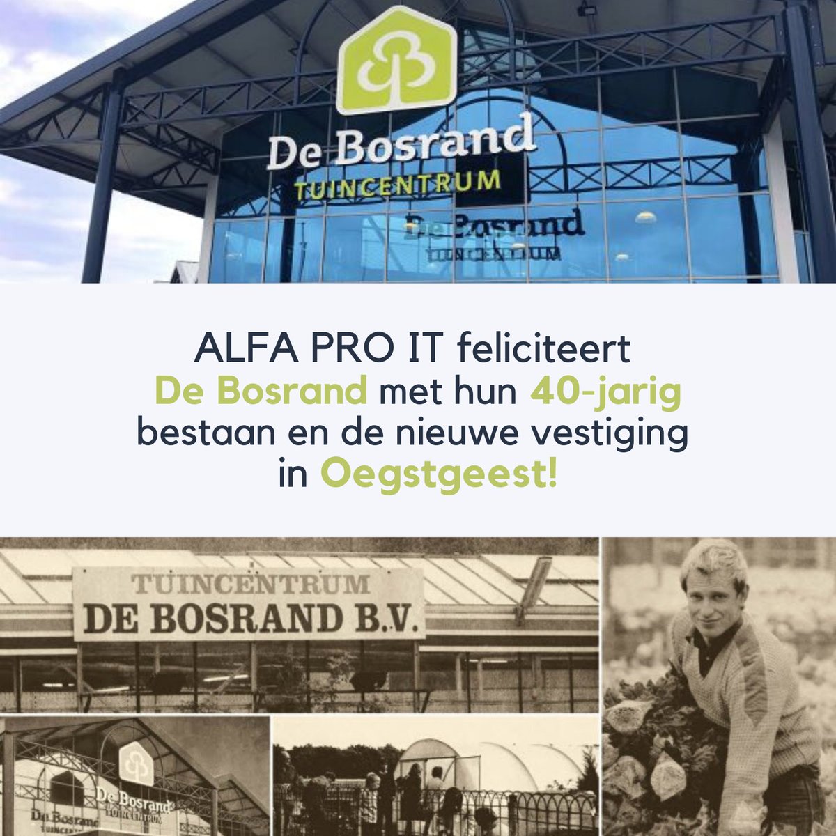 AlfaProSoftware tweet picture