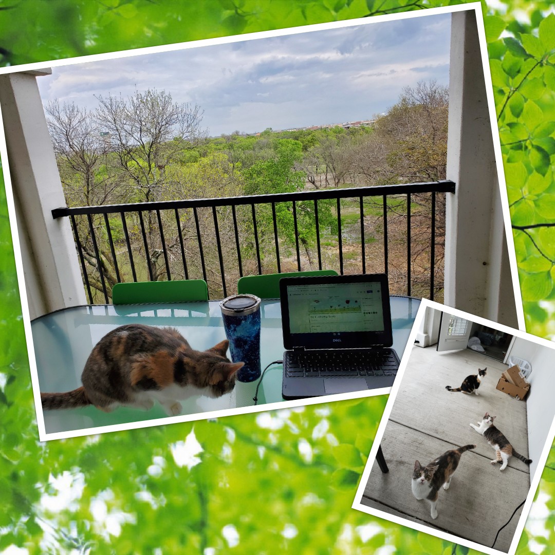 Welcome to my distance learning classroom! It may not be my sparkly rainbow classroom, but the view is gorgeous and the co-workers are cute! #distancelearning #PreK #PreKteacher #workingfromhome