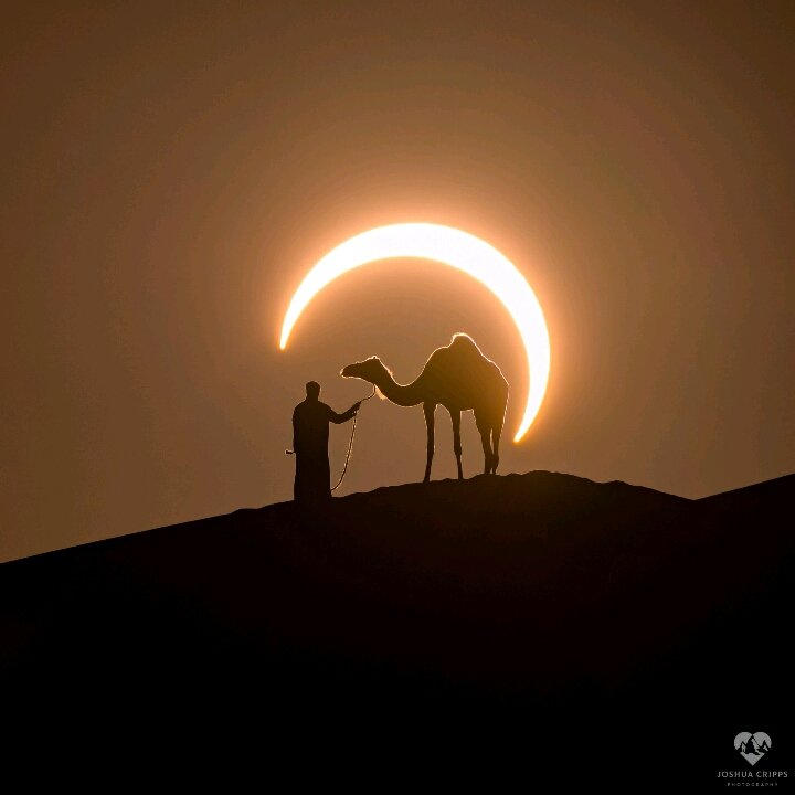 happy886677's tweet photo. 'Solar Eclipse over the UAE' image from the #NASA_App
https://t.co/64IiKT57TL https://t.co/JggigU2N35