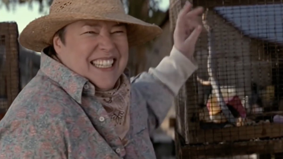 Frank Costa Also Kathy Bates Deserved An Oscar For Her Role As The Squirrel Lady In Rat Race
