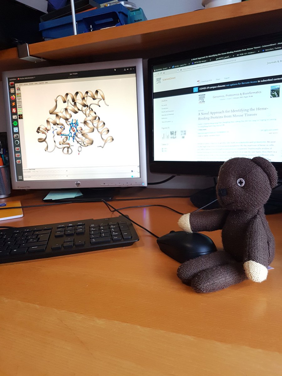 Laura Hetcher tweet media