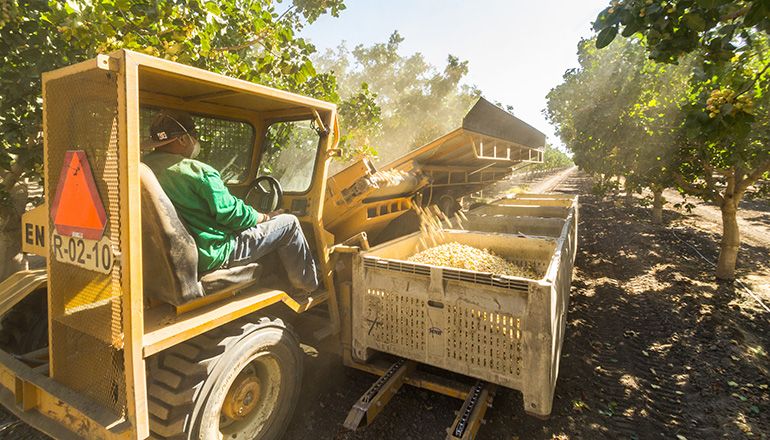 APGMembers's tweet image. Pistachio acreage to keep increasing, industry leader says buff.ly/2x5AP9E