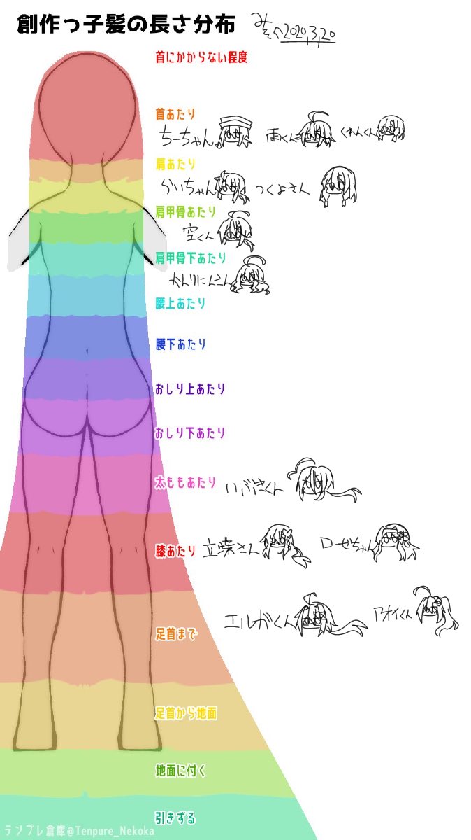 髪 の 長 さ 名前