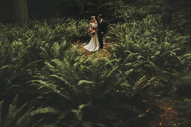 Real Weddings (@realweddingsbc) on Twitter photo Wild, wild love. Dress: <a href="/bijoubridal/">Bijou Bridal</a>. Photo: <a href="/shariandmike/">Shari and Mike</a>. Location: @campfircomweddings. Flowers: @Greenleaffloraldesign and @blossomandvinefloralco. #wedding #weddingday #weddingphotography #bcwedding #vancouverwedding ift.tt/3aamIP2 Wild, wild love. Dress: <a href="/bijoubridal/">Bijou Bridal</a>. Photo: <a href="/shariandmike/">Shari and Mike</a>. Location: @campfircomweddings. Flowers: @Greenleaffloraldesign and @blossomandvinefloralco. #wedding #weddingday #weddingphotography #bcwedding #vancouverwedding ift.tt/3aamIP2