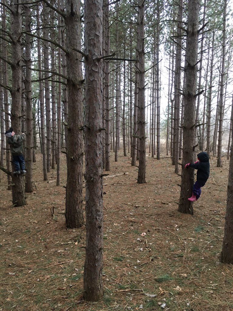 MrsSarahCassidy's tweet image. After exploring in our local conservation area the kids were sad to see the vandalism and litter. Both went to work when we got home to do something about it! #stewardship #outdoorlearning