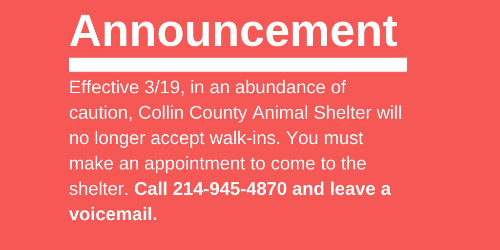 CollinCountyAnimals tweet media
