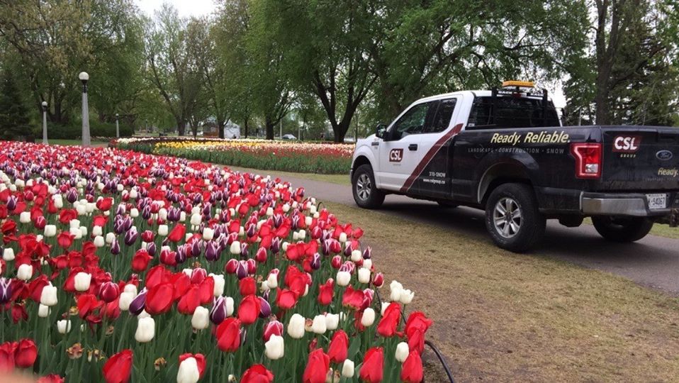 CSL_Group_Ltd's tweet photo. #ThrowbackThursday to the Tulip Festival in Ottawa in celebration of Canada 150! 400,000 tulips were on display. Great job CSL team!
#Ottawa #planting #TulipFestival #CSLGroup #Keepingyourworldbeautiful https://t.co/5DBYU3nbKE