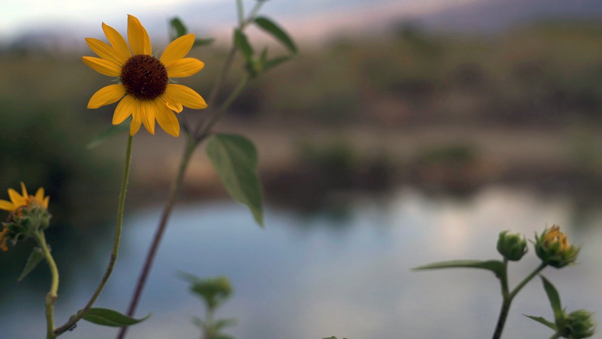Happy first day of Spring in the Northern Hemisphere! If you go outside today, be sure to practice social distancing. Six feet from any other humans!

#vernalequinox #covid19 #coronavirus #springhassprung #throwbackthursday #tbt
#thirstythursday #h2go #water #waterislife