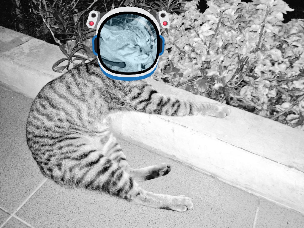 MirzaFikhar's tweet photo. Ketika dia mengalah
Seraya pasrah dengan keadaan
Toloong aku ada 
Demi apa pun tidak berniat buat dia menangis malam ini
Dan aku pun tidak ingin nangis malam ini 🙃 beberapa keadaan tak bisa di elakkan sebagaimana usaha kita ada yang maha kuasa mengatur segalanya
#celotehan https://t.co/W659iDmEYG