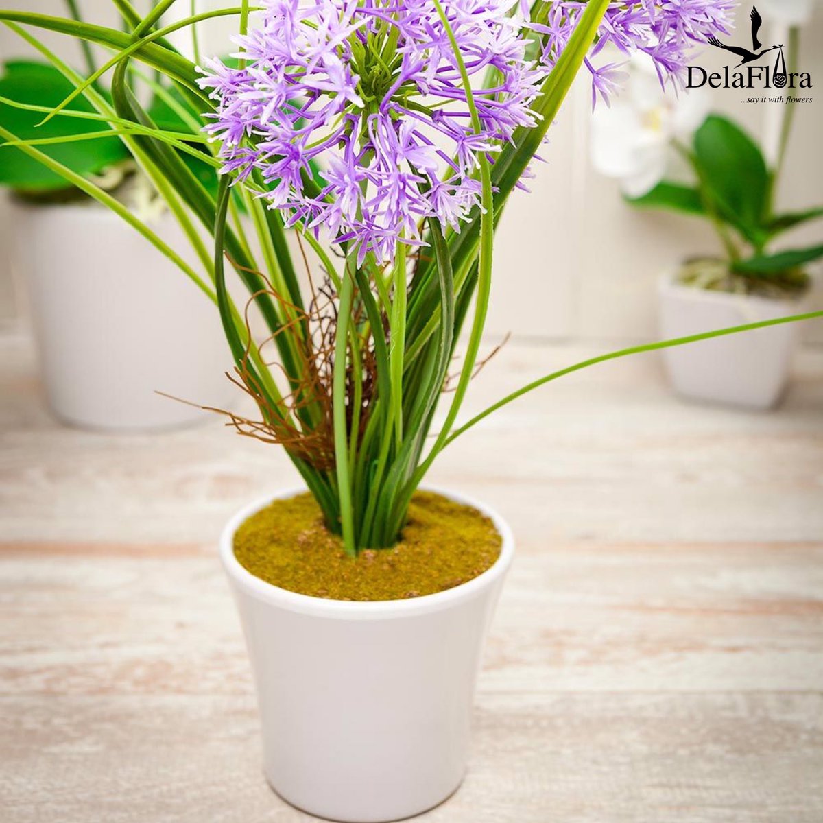 Delaflora1's tweet photo. Add a splash of color with our Fiore Violet Alliums in a White Pot.💐🌼👨‍👦👨‍👧
____________________________________________
Tag a floral lover🥰/Spread the word
#flowers🌸 #delaflora #tbt❤️ #gift #thursdayvibes #JoySMS https://t.co/cbspfSXtc6