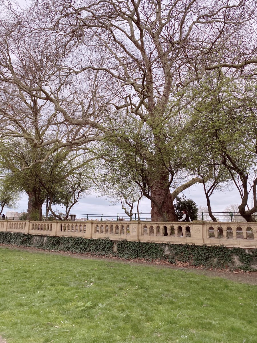 Who knows if we’ll still be able to walk outside past tomorrow... #bishopspark #ilovelondon 🌱🌿