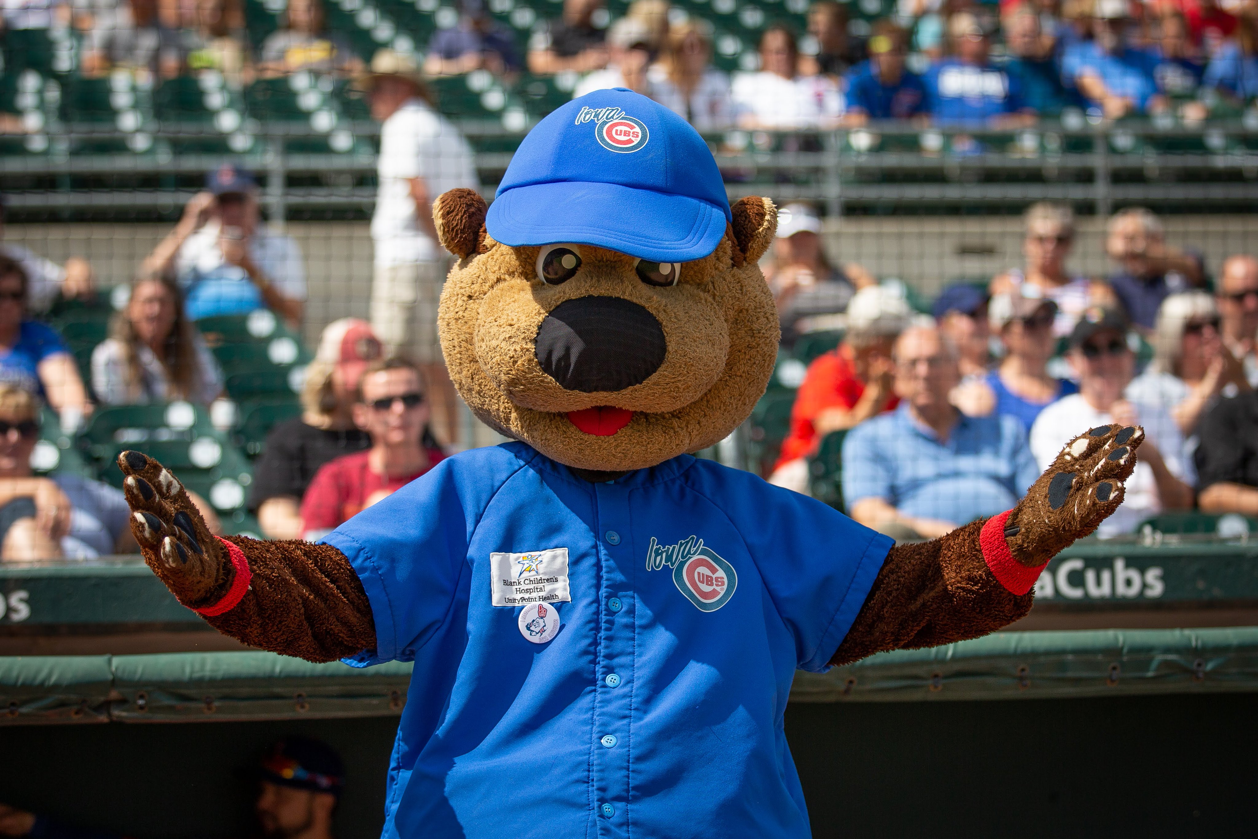 Iowa Cubs on X: Cubbie Bear sends his greetings and hopes to see everyone  soon! 🐻  / X