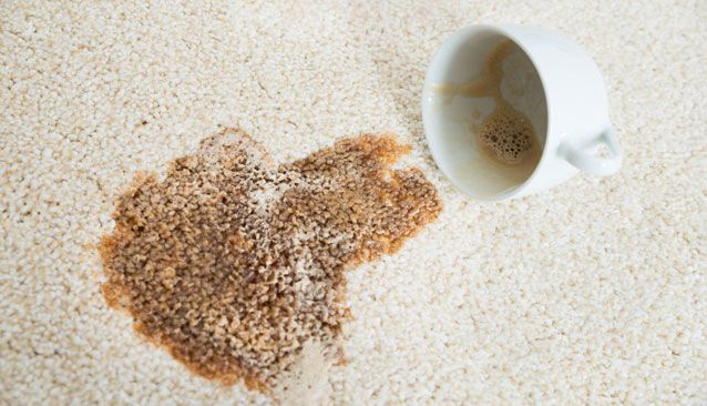 ProCleannola's tweet photo. How to clean your carpet from 8 common spills
Read how here: https://t.co/Eyh5xvg5C1

#ProCleanServices #NewOrleans #Metairie #PressureWashingService #CarpetCleaningService #PetOdorTreatment #WindowCleaning https://t.co/XKAsbZWiOO