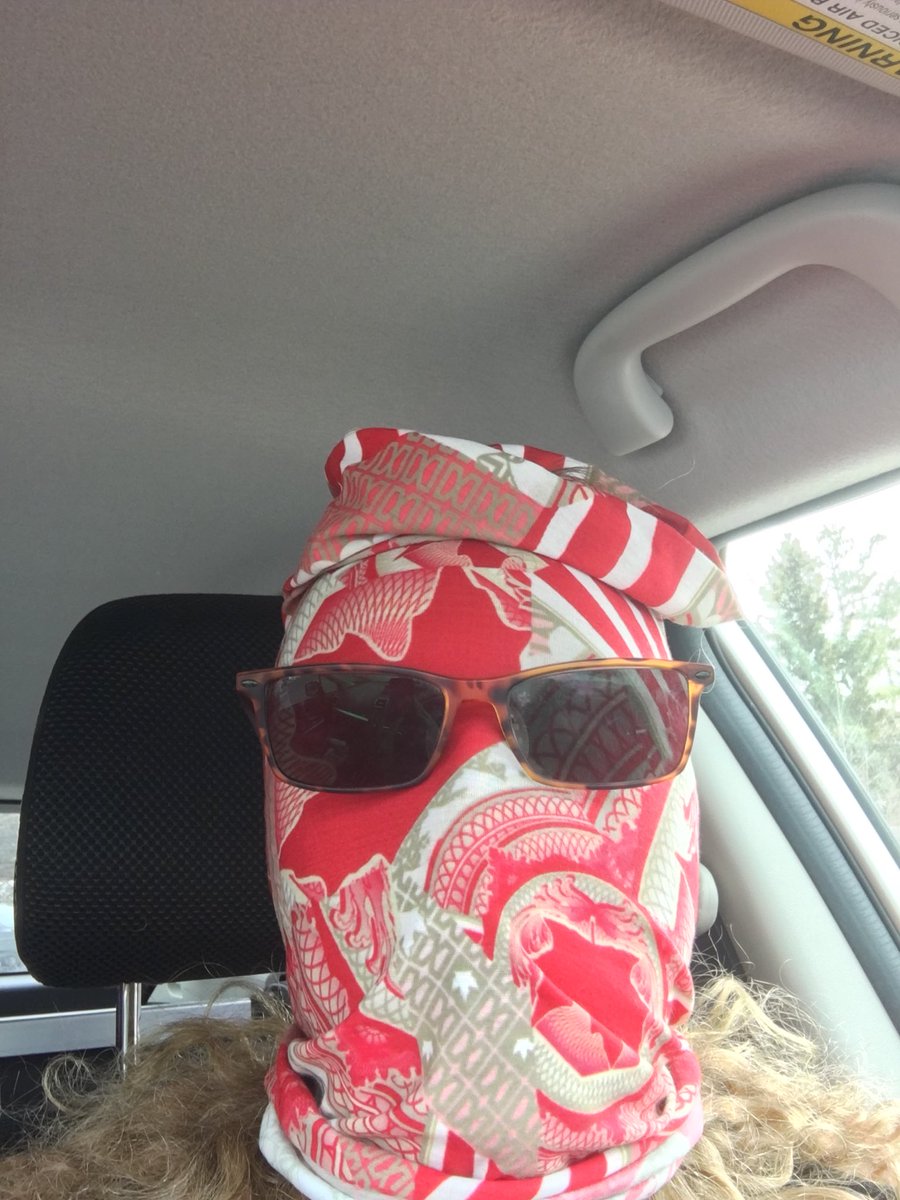 SylvieBigras tweet media