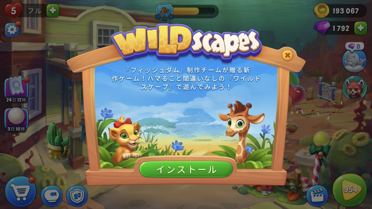 フィッシュダム フィッシュダム