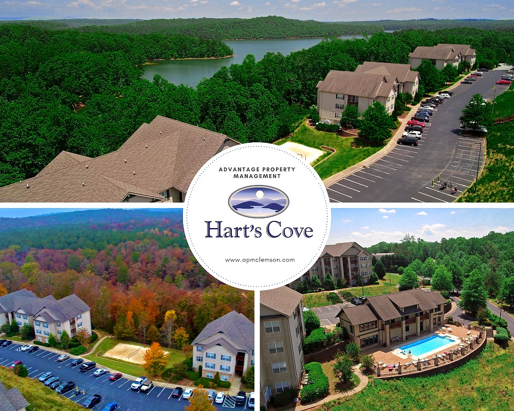 apm_clemson's tweet photo. Come check us out! We manage some awesome properties like Hart's Cove. We're pet-friendly too! Visit us now at, https://t.co/MT3yQux7qJ☺️🐶🐈 https://t.co/q3U1M57uVh