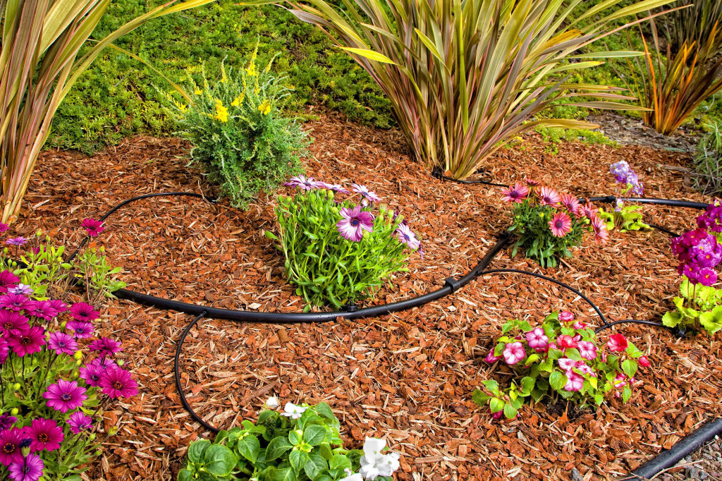 SoquelCreekH2O's tweet photo. Check your irrigation system while it is both off and on. Things to look for that indicate leaks include tall vegetation or moss growing around sprinkler heads, wet spots on soil or pavement, eroding soil, dry spots in your lawn, etc. 

#FixALeakWeek https://t.co/k5aSSDsVsa