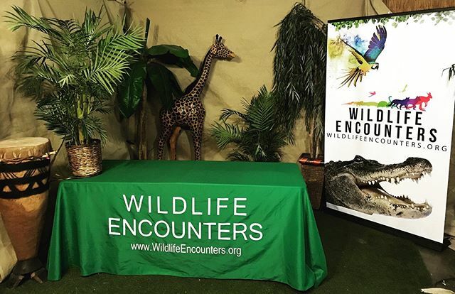 Getting set up for virtual presentations!  What animals would you like to learn about? 🎥🐢🦔🦘🐍🐊🐒🦜 #virtuallearning #nebraska #nebraskateachers #ilovepublicschools #teachersfollowteachers #omahanebraska #omahablogger ift.tt/2vzqG4t