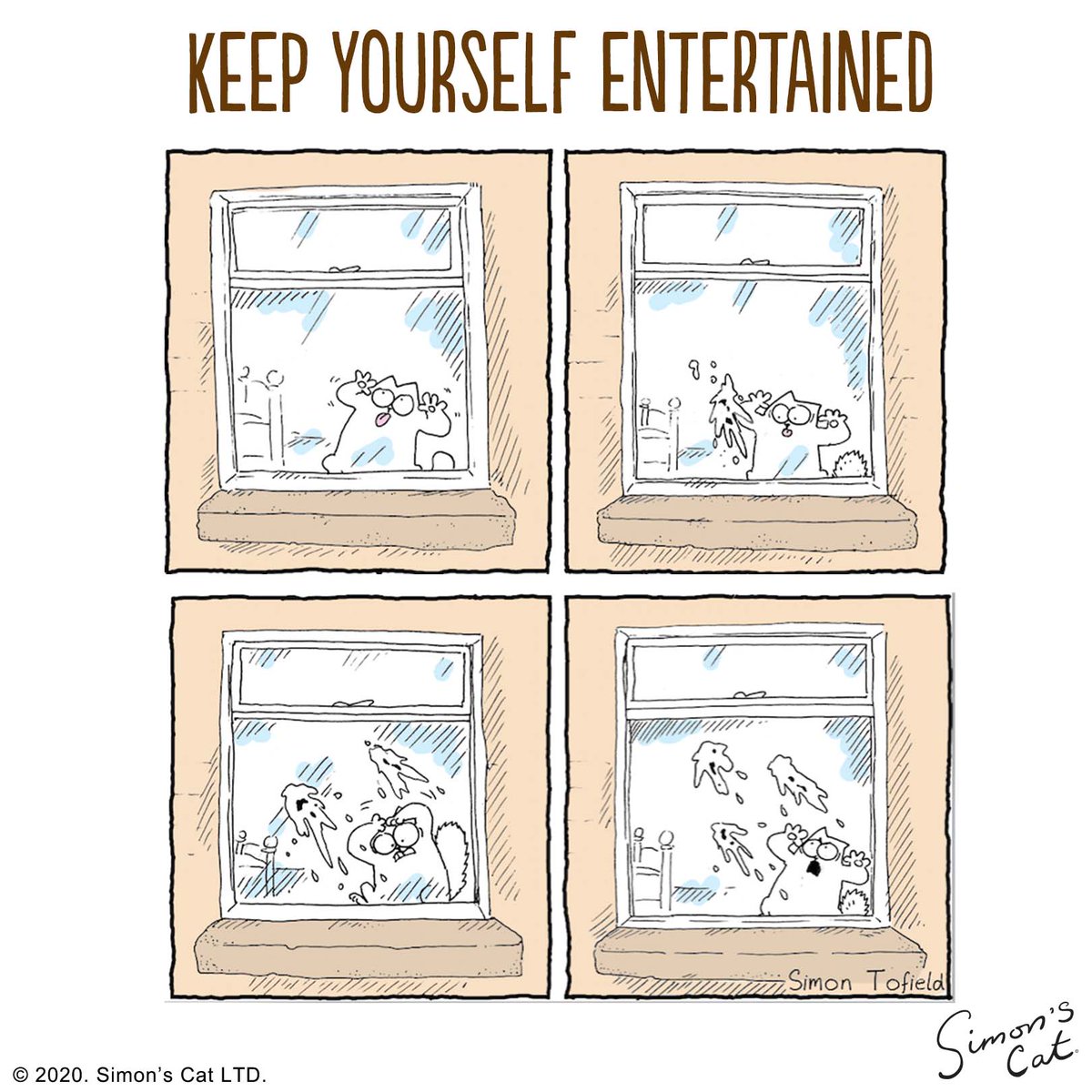 SimonsCat's tweet photo. It's important to keep yourself entertained these days! Let's share ideas on how to keep ourselves occupied indoors. https://t.co/1kKCJtHA5s