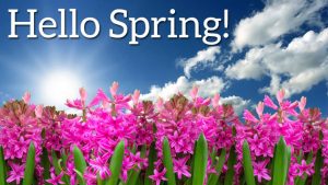 ShopGARodgers's tweet photo. Happy First Day of Spring!!! https://t.co/ZREgmwDttH