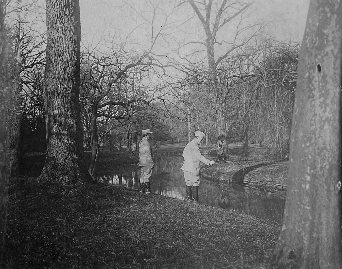 bruno31290's tweet photo. #ww1 #1916 17/... "23 Janvier 1916 - Dans le parc de (Bosnes)" Pas sur du lieux, daprès les JMO ils étaient vers #ambly @Stbslam @1J1Poilu @_74eRI_ @tadoukoz @Le_Chtimiste https://t.co/ABOOdX6yck