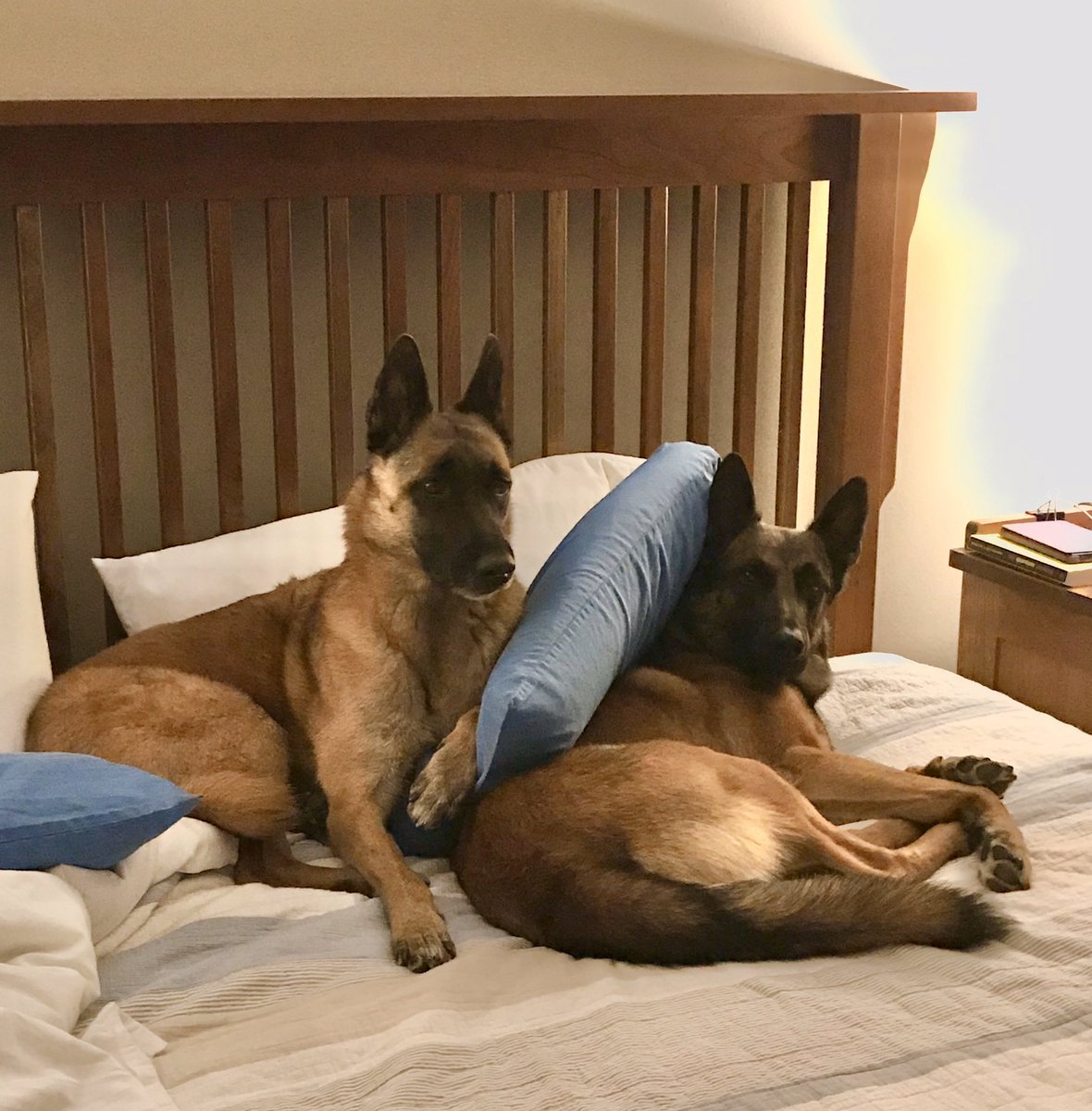 Thrill and Wow hope everyone is enjoy is staying home and sleeping in!