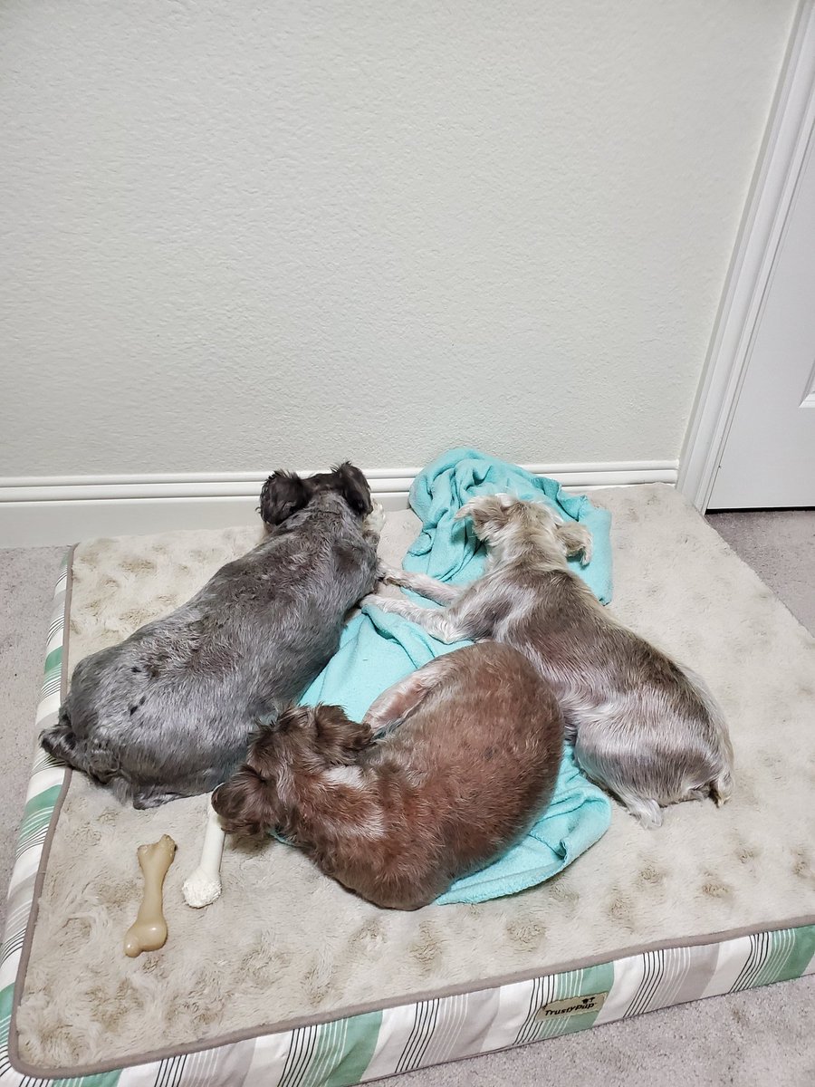 My new co-workers are pretty quiet.