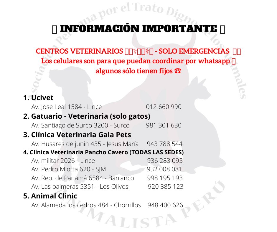 AnimalistaPeru's tweet photo. Por favor en caso de una emergencia, recuerden llamar antes de ir para no hacer el viaje en vano. #COVIDー19 #QuedateEnCasa #EmergenciasVeterinarias #LosAnimalesMeImportan #Veterinarias https://t.co/XUVQIVCmoG