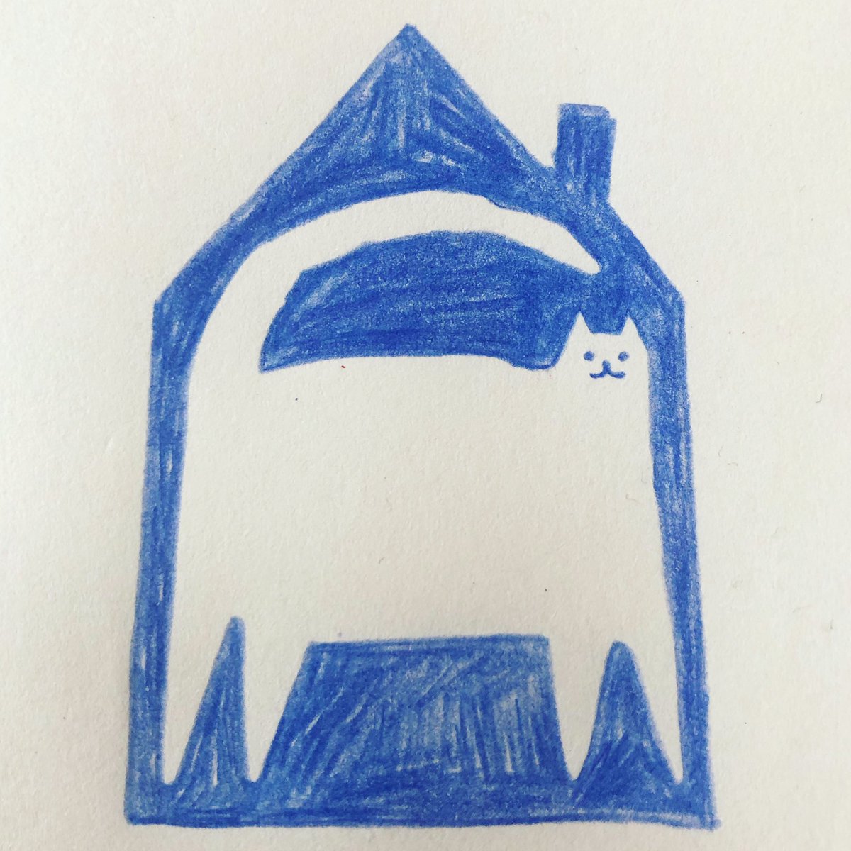 Living with a cat #SelfIsolation