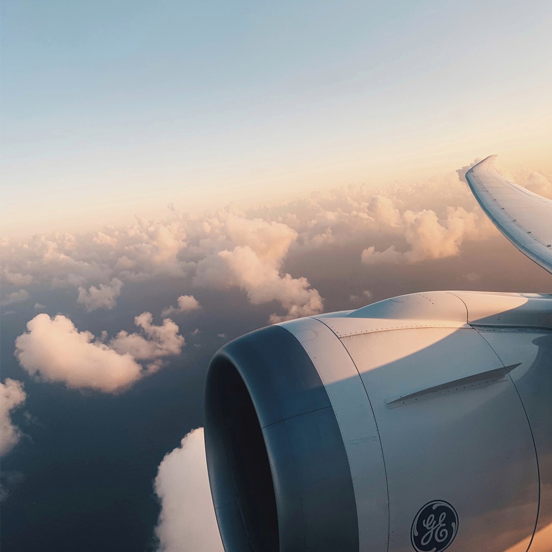 TUIGroup's tweet photo. We take you home! ✈️ #TUI operates hundreds of repatriation flights these days to bring our guests back home. For example, 7 flights took off this morning from Germany to #PalmadeMallorca. Many more will follow! #LetsTUIthistogether #CoronaVirusUpdate 
https://t.co/gSm6PedQIy https://t.co/PSAkHnfWcc