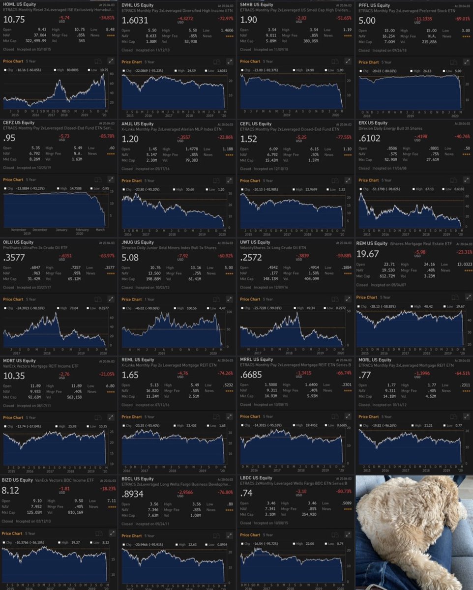 Because I’m WFH (aka couch) today to re-charge, I’m going to do a slightly wonky markets (not econ) thread. Trigger warning: barrier options (I’m so sorry, I had to) First, let’s start with a chart (screenshots from my phone plus bonus furball bc I didn’t have enough for a 4x4
