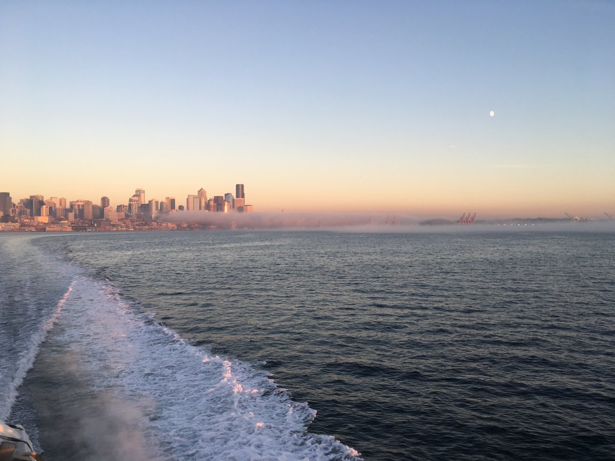 Growing evidence that blue space --like green space--provides positive health outcomes. academic.oup.com/heapro/article… #natureandhealth #natureforhealth @Easkeysurf <a href="/uwearthlab/">EarthLab</a> <a href="/BlueHealthEU/">BlueHealth</a> <a href="/jjjlawler/">Josh Lawler</a>