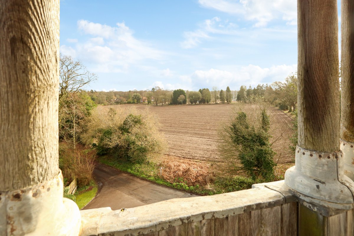 Hamptons Liphook tweet media