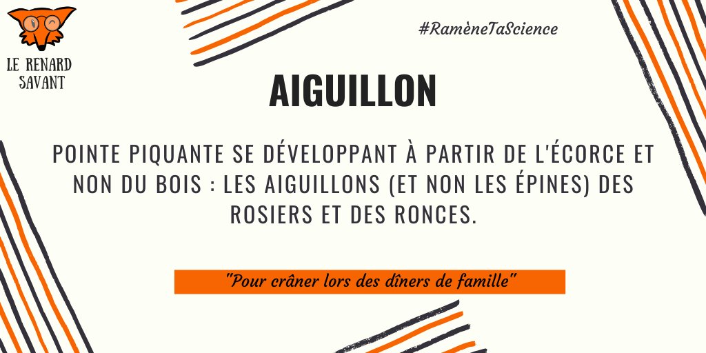 RenardSavant's tweet photo. [Rendez-vous] Tous les jours à 20h30 ⌚
➽ Le savoir sur la nature n'attend plus que vous ! 
#RameneTaScience en nous suivant ! @renardsavant 🦊🔬 https://t.co/KyZXyVgHvX