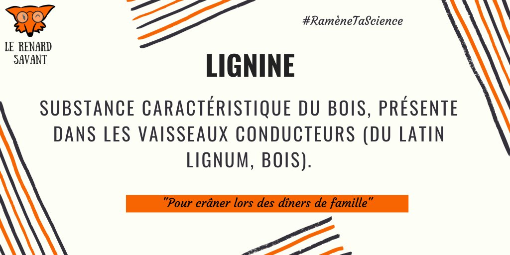 RenardSavant's tweet photo. [Rendez-vous] Tous les jours à 20h30 ⌚
➽ Le savoir sur la nature n'attend plus que vous ! 
#RameneTaScience en nous suivant ! @renardsavant 🦊🔬 https://t.co/2j7RRYQ9sq