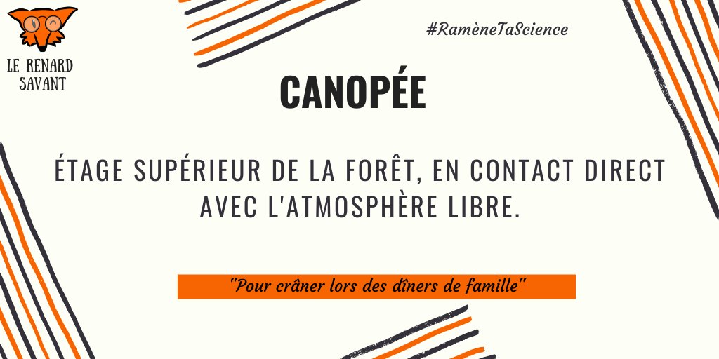 RenardSavant's tweet photo. [Rendez-vous] Tous les jours à 20h30 ⌚
➽ Le savoir sur la nature n'attend plus que vous ! 
#RameneTaScience en nous suivant ! @renardsavant 🦊🔬 https://t.co/0MY4dw0Zta